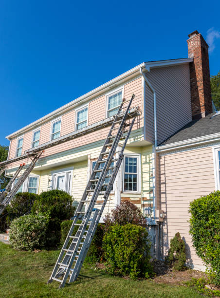 Best Brick Veneer Siding  in Jackson, MI